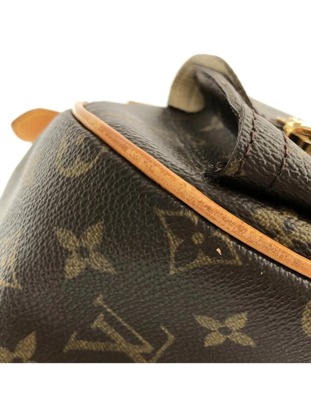 Louis Vuitton Monogram Hudson GM Shoulder